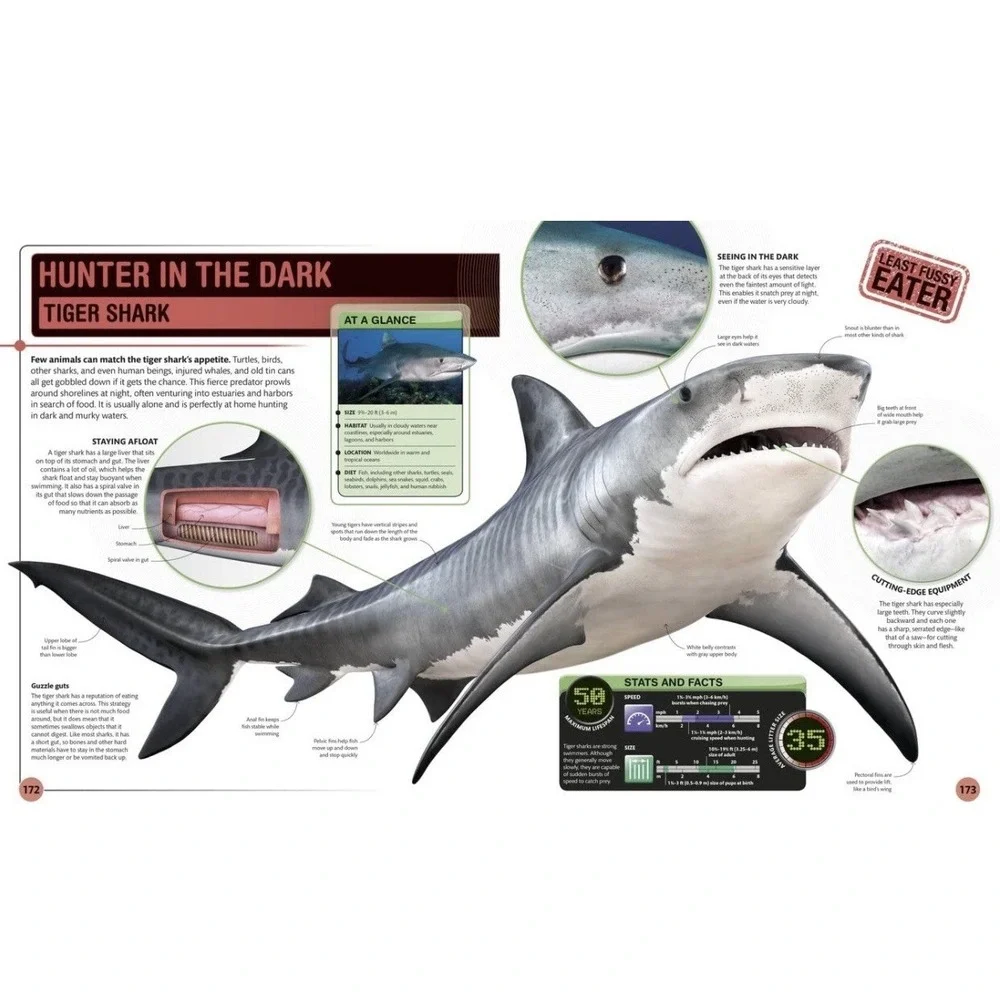 Super Shark Encyclopedia - Paperback - Preowned, LIKE NEW | FAST SHIPPING